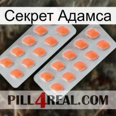 Секрет Адамса 27